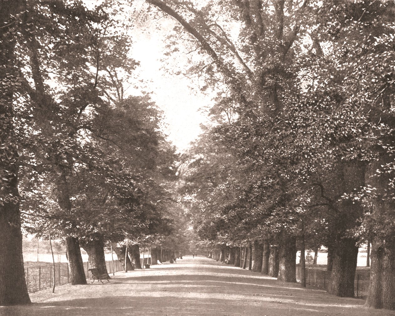 The Broad Walk, Oxford, 1894 da Unbekannt