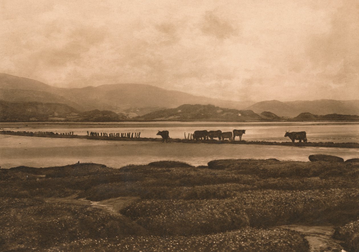 Il Dovey a Ynyslas, 1902 da Unbekannt