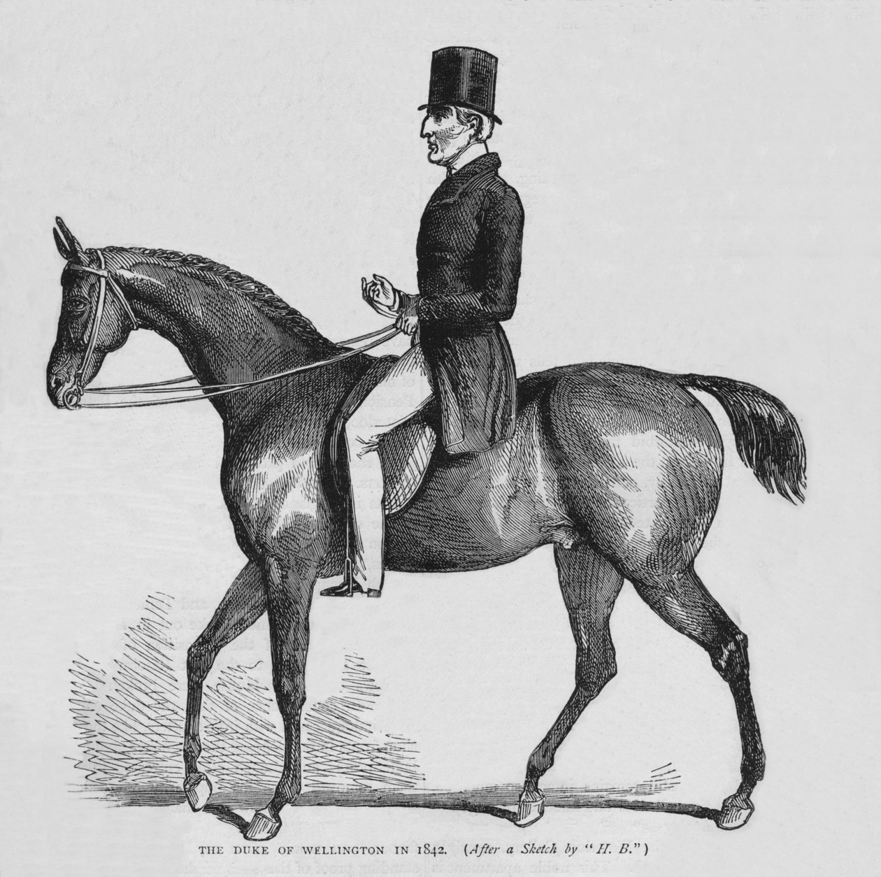 Il duca di Wellington, c1842 da Unbekannt