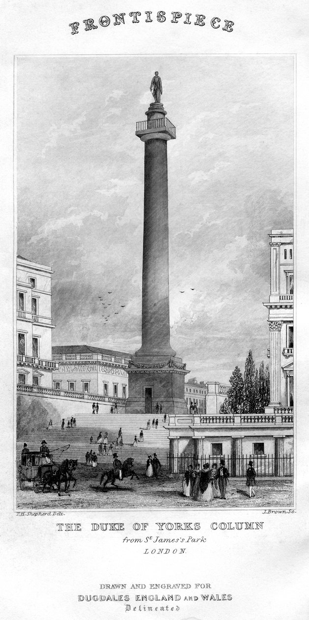 La colonna del Duca di York da St James
