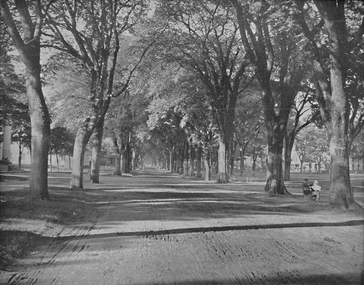 The Elms, New Haven, Conn., c. 1897 da Unbekannt