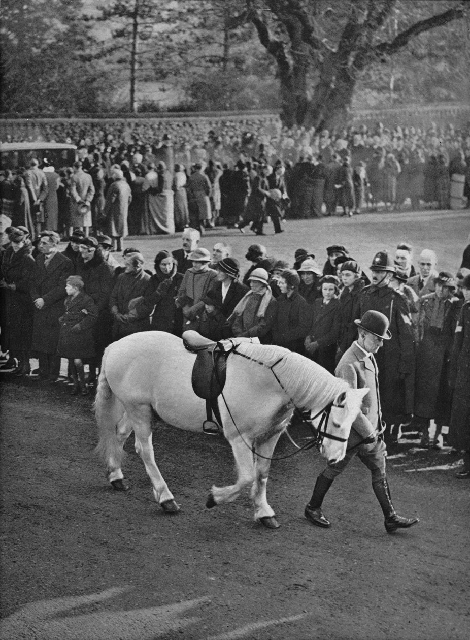 La sella vuota: il pony bianco di Re Giorgio, Jock, condotto in processione, 1936 da Unbekannt