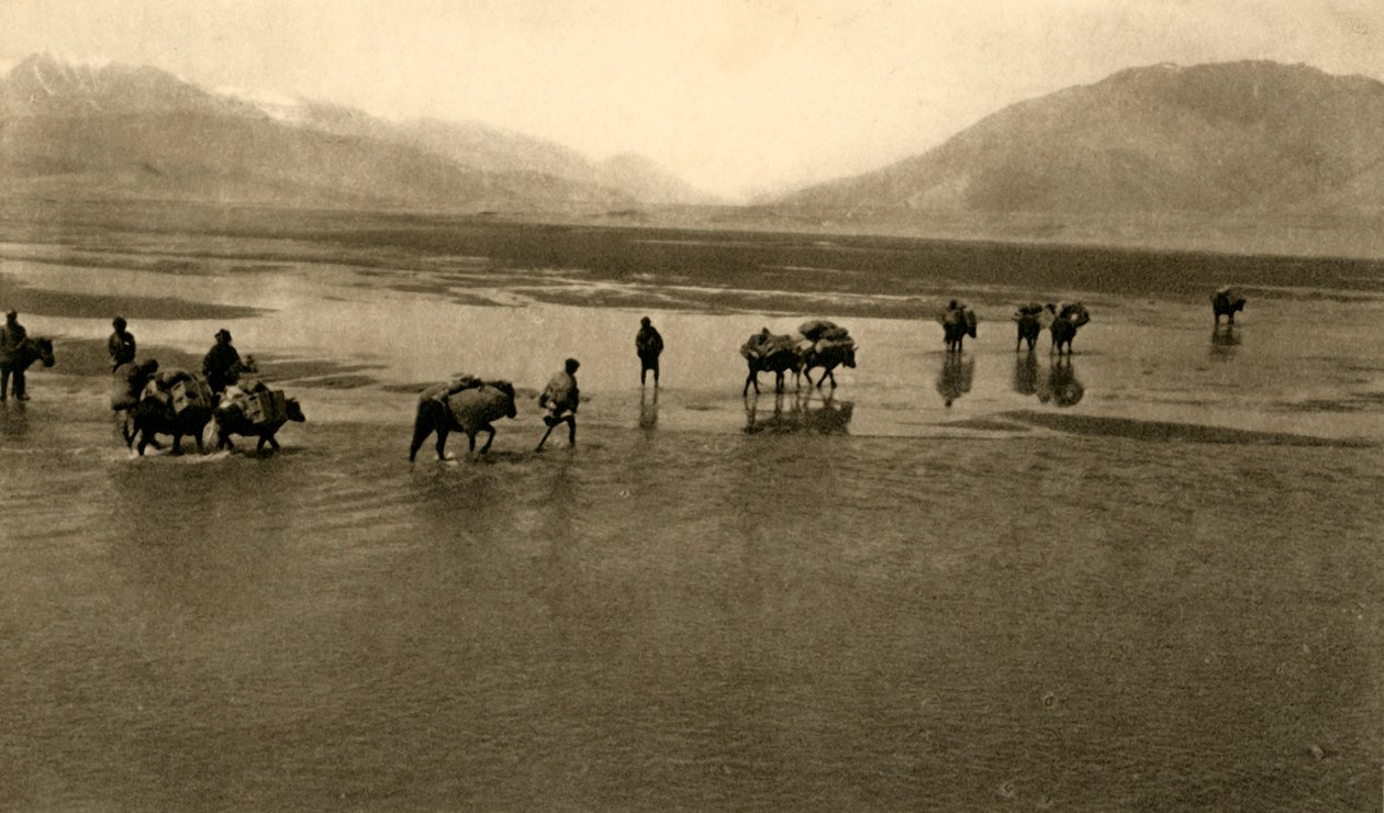 La prima vista del Monte Everest, c1918-c1939 da Unbekannt