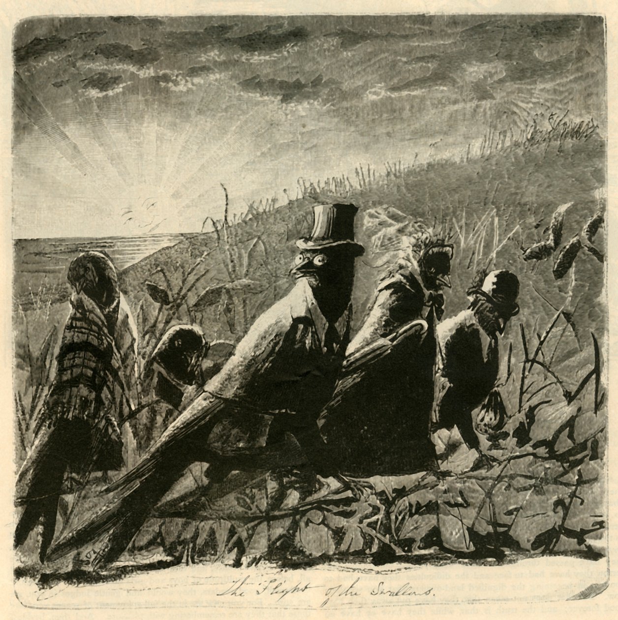 Il volo delle rondini, 1882 da Unbekannt