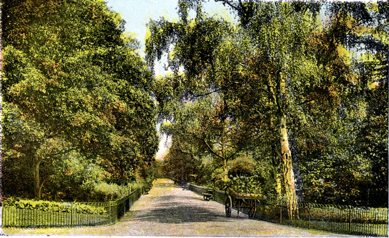 Il Viale dei Fiori, Kensington Gardens, Londra, XX secolo da Unbekannt