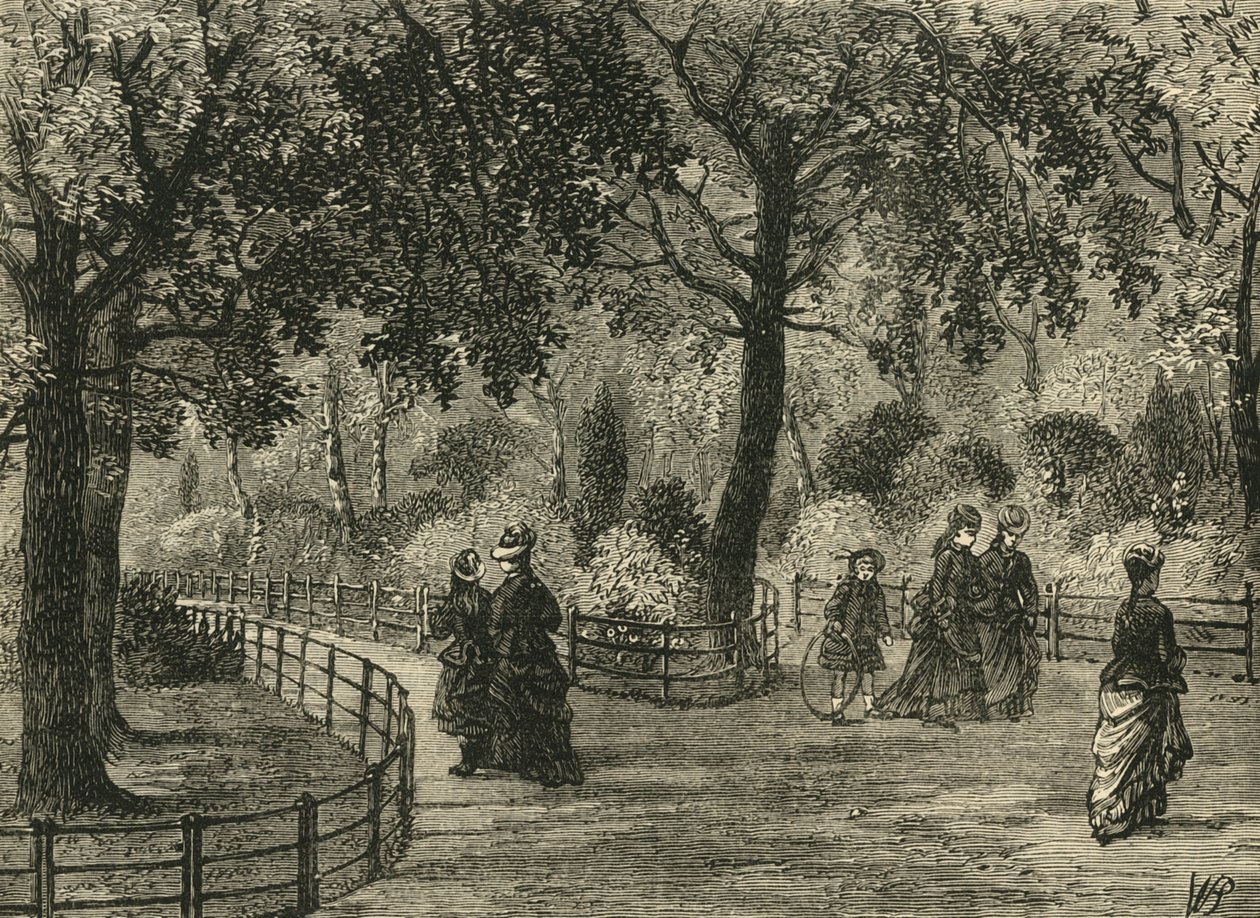 I sentieri dei fiori, Kensington Gardens, c1876 da Unbekannt