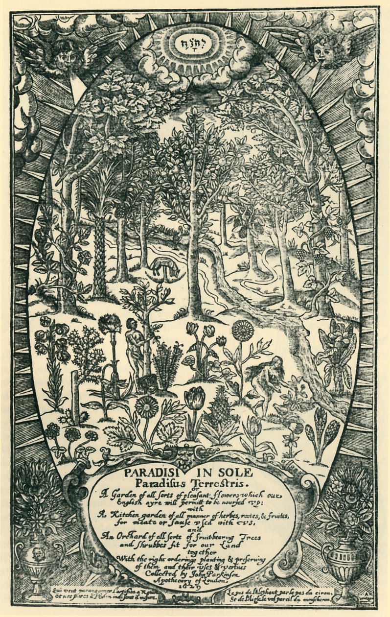 Il Giardino dell