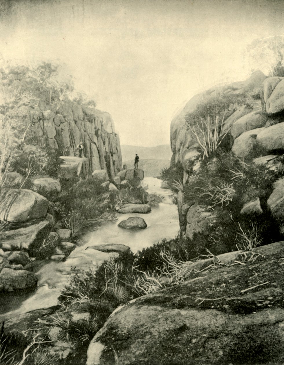 La gola, cascate di Buffalo, Alpi Vittoriane, 1901 da Unbekannt