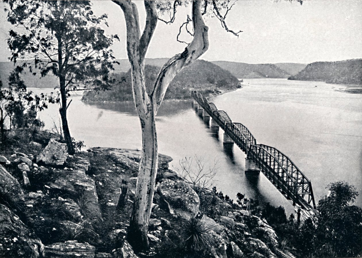 Il fiume Hawkesbury e il ponte, c1900 da Unbekannt