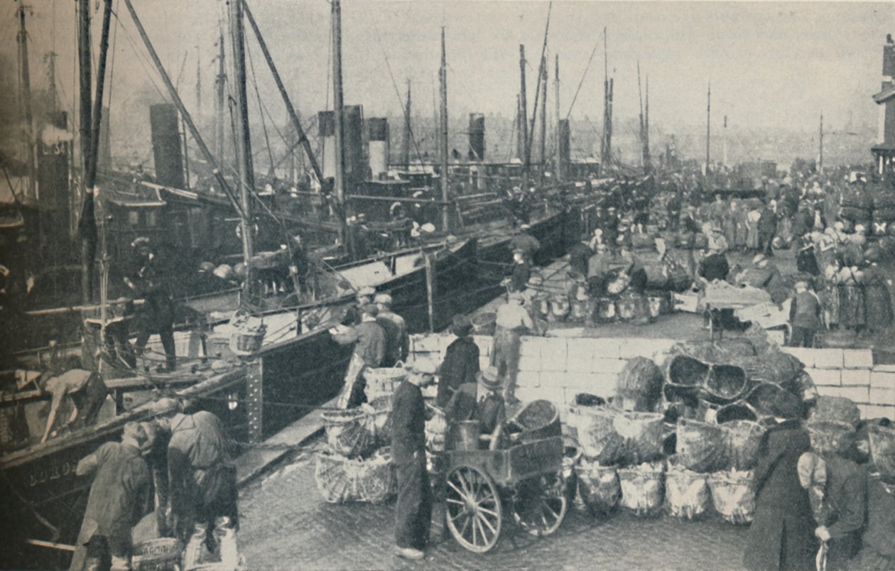La stagione delle aringhe in pieno svolgimento, 1937 da Unbekannt