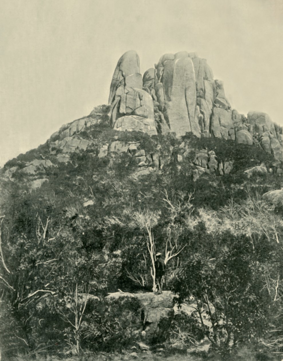 Il Gobbo, Montagne di Buffalo, 1901 da Unbekannt