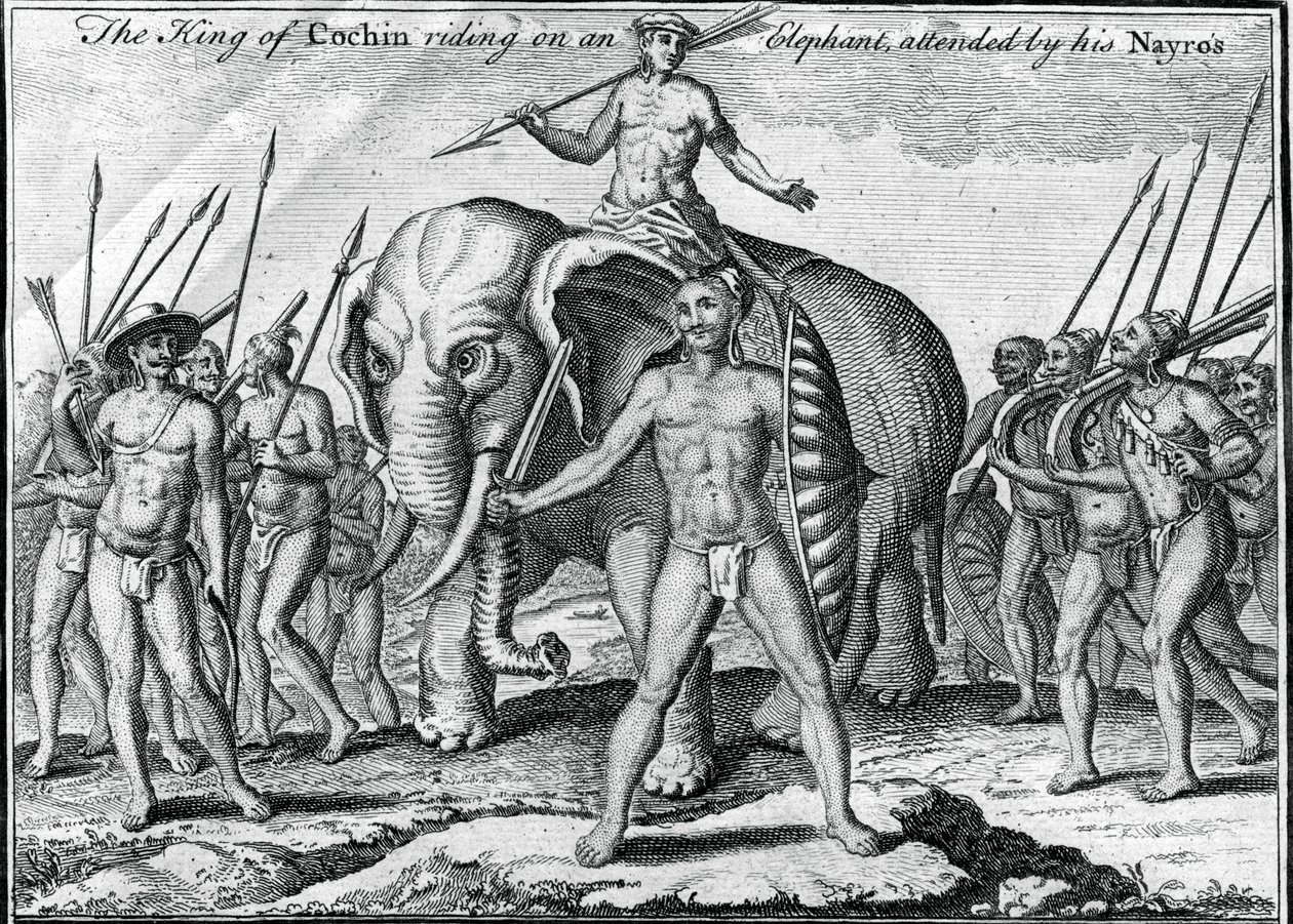 Il re di Cochin a cavallo di un elefante, accompagnato dai suoi Nayros da Unbekannt