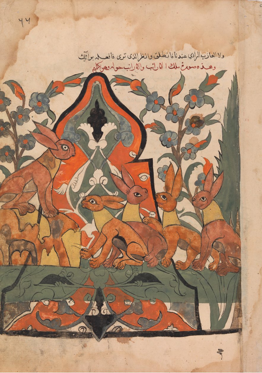 Il re delle lepri in consiglio con i suoi sudditi, Folio da un Kalila wa Dimna, XVIII secolo da Unbekannt