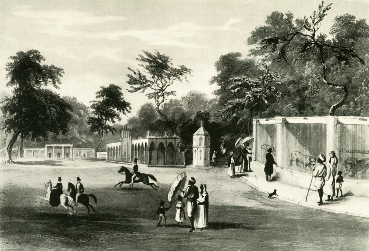La Menagerie nel Parco di Barrackpore, 1820, 1925 da Unbekannt