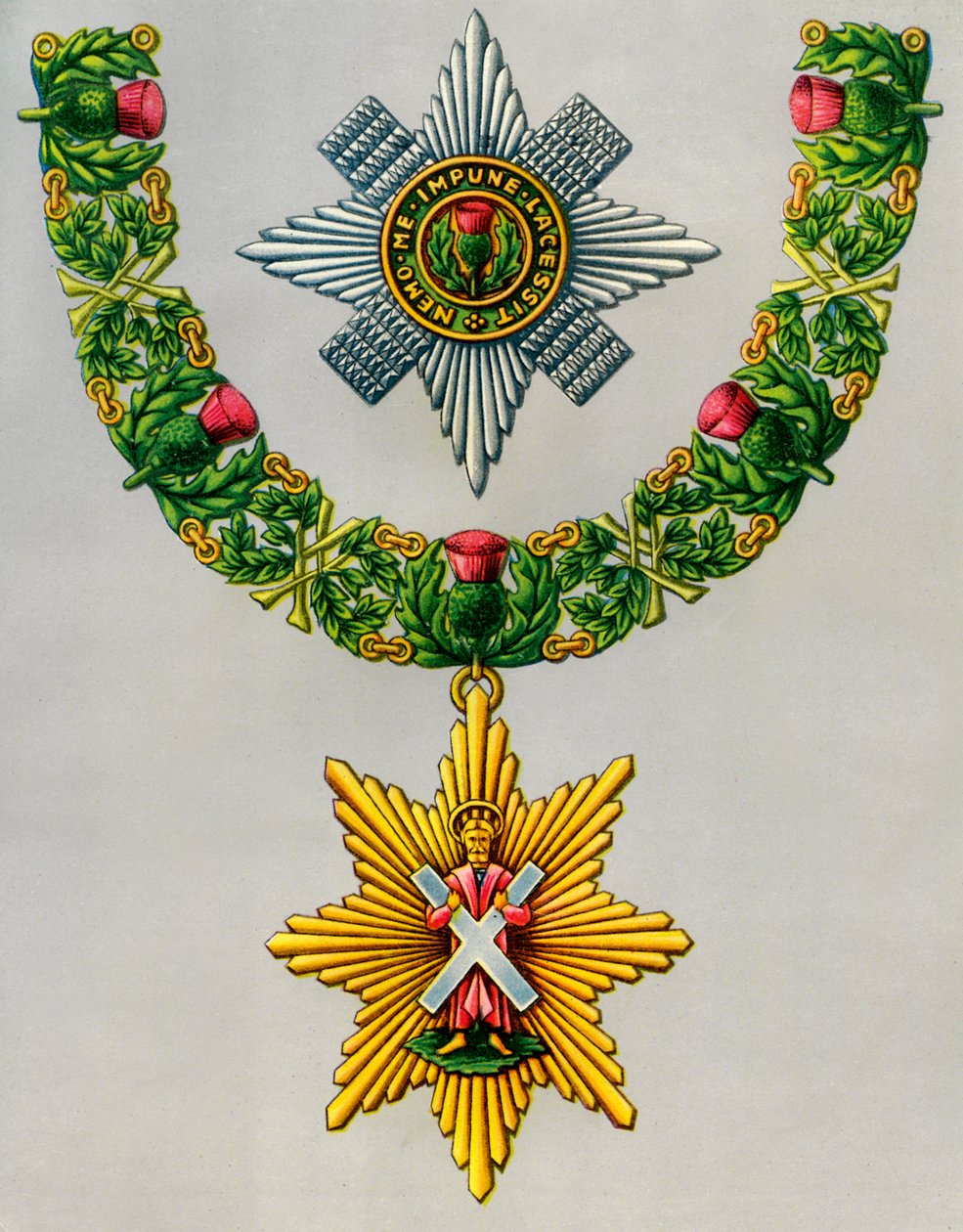 Il Nobilissimo e Antichissimo Ordine del Cardo, 1941 da Unbekannt
