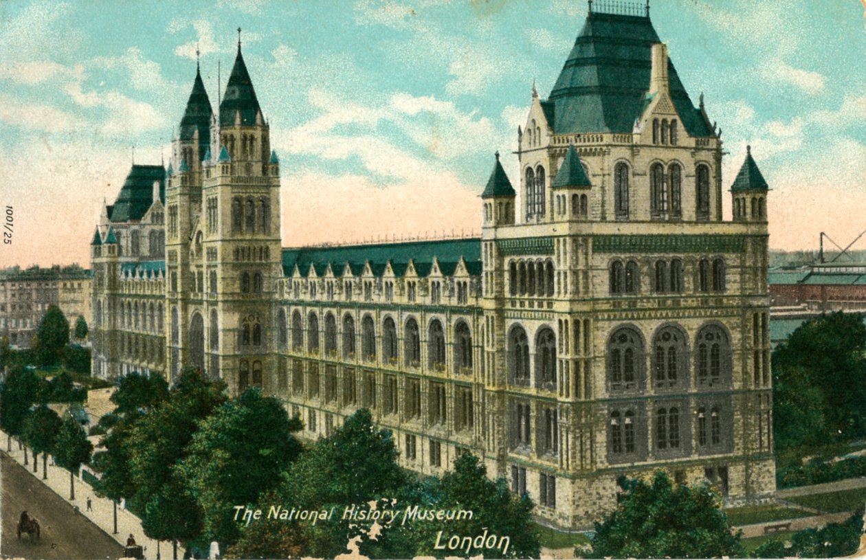 Il Museo di Storia Naturale, Londra, c1910 da Unbekannt