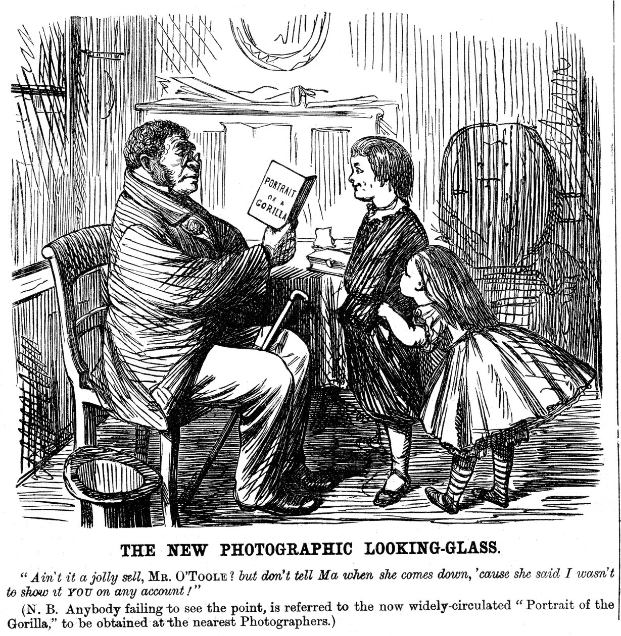 Il nuovo specchio fotografico, vignetta da Punch, prova quotidiana delle origini dell