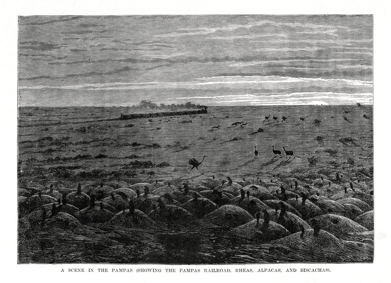 La ferrovia delle Pampas, bassopiani sudamericani da Unbekannt