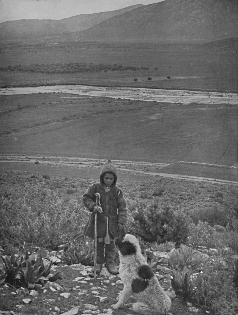 La pianura di Maratona, 1913 da Unbekannt