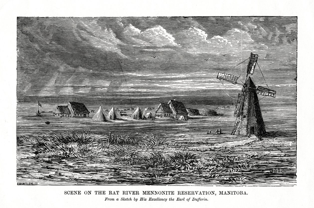 La riserva mennonita del fiume Rat, Manitoba, Canada, fine XIX secolo da Unbekannt