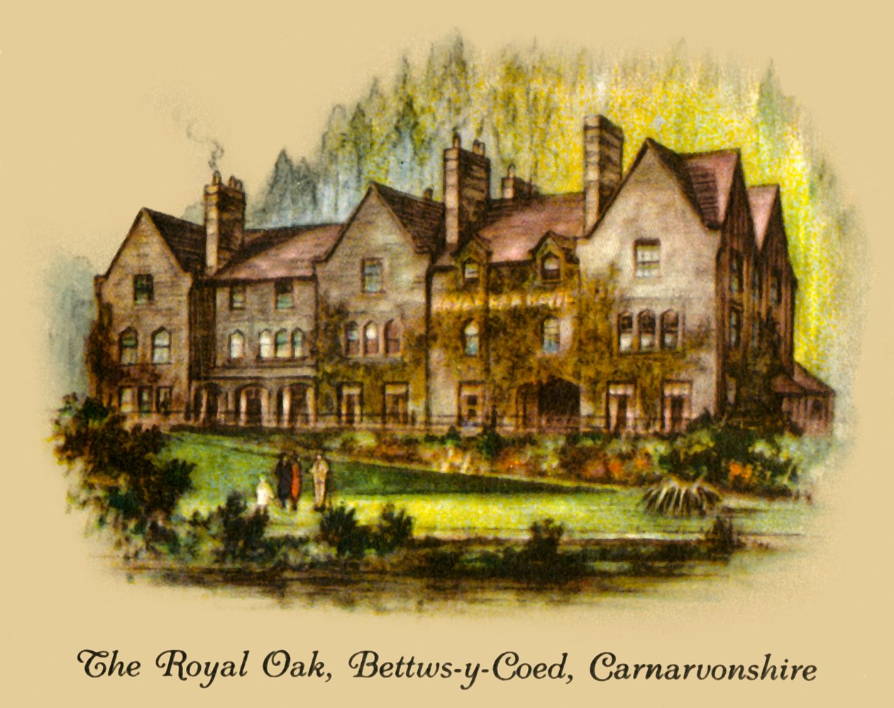 La Quercia Reale, Bettws-y-Coed, Carnavonshire, 1936 da Unbekannt