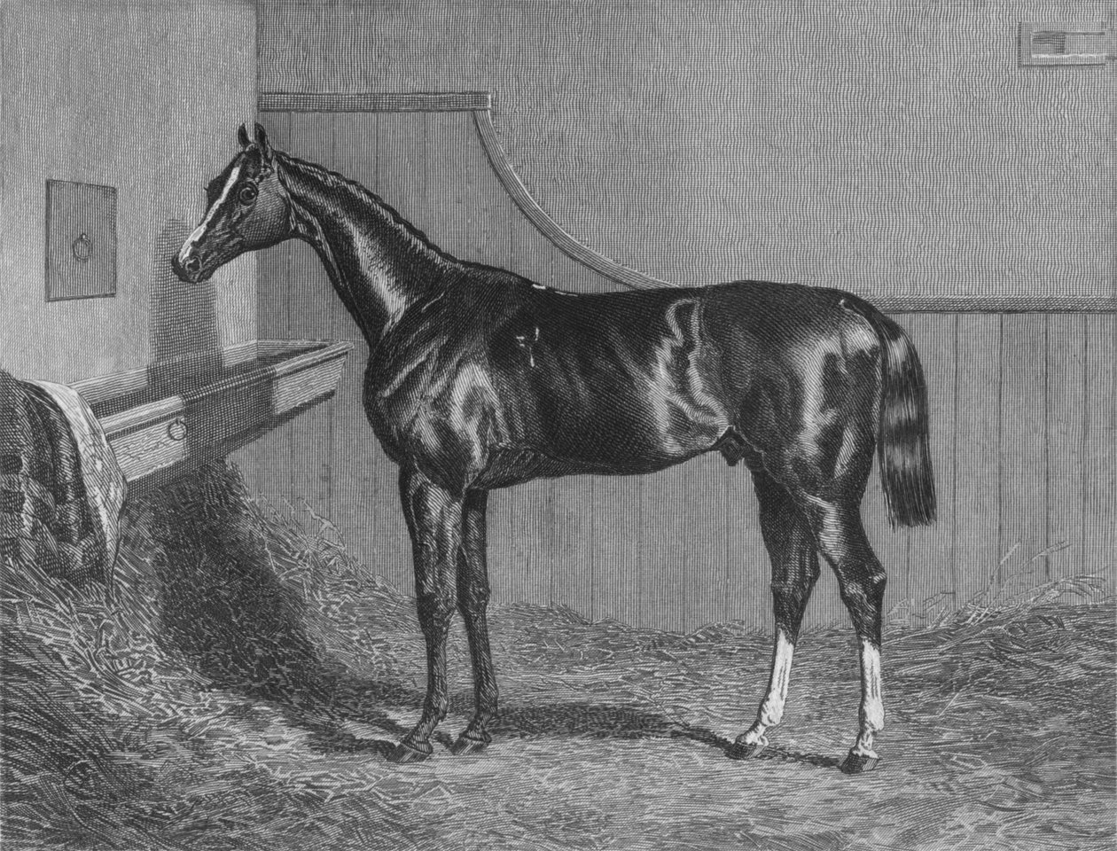 Il Rt. Hon. Il Conte di Lichfields Elis. Vincitore del St. Leger 1836, 1911 da Unbekannt