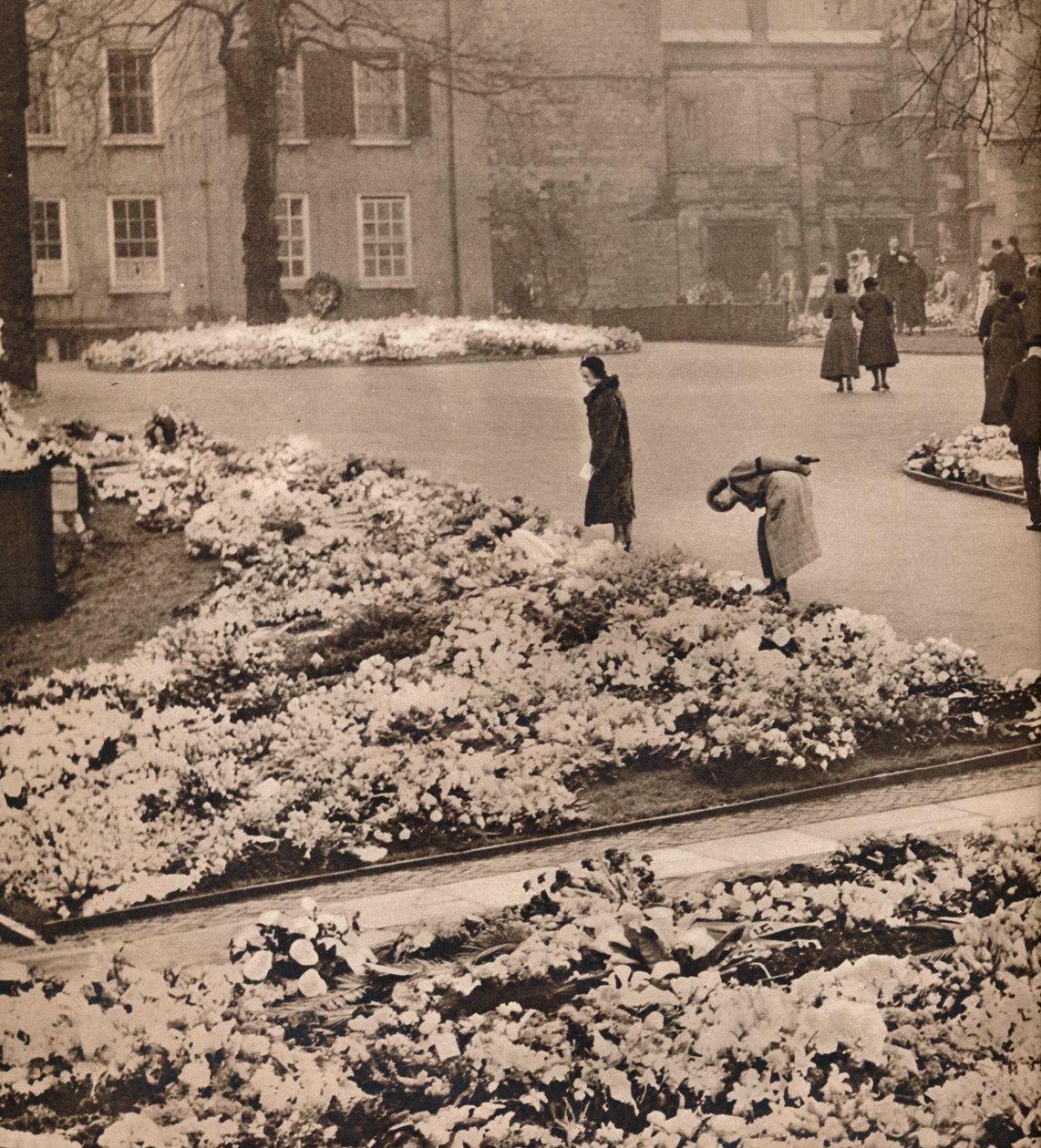 Il funerale di stato di Re Giorgio V a Windsor: corone commemorative, 1936 da Unbekannt