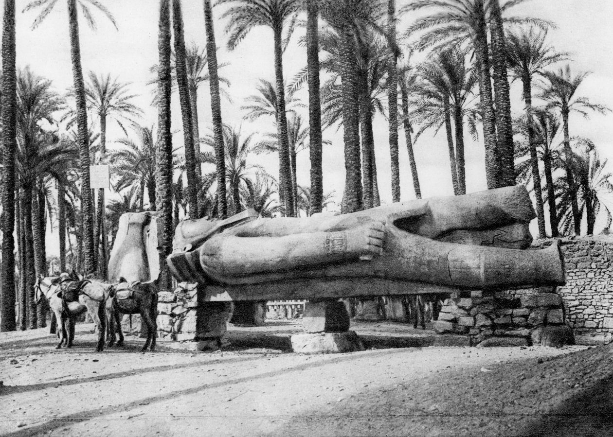 La statua di Ramesse II, Il Cairo, Egitto, c1920s da Unbekannt