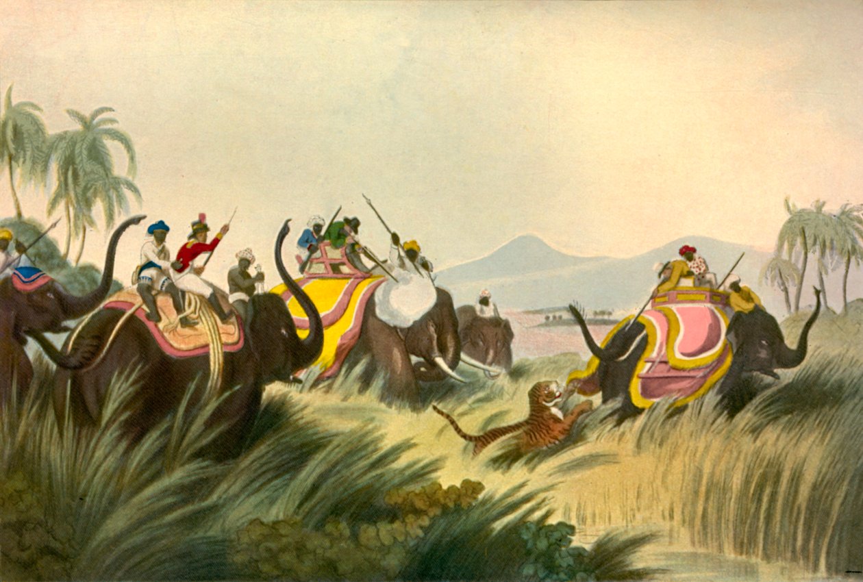 La caccia alla tigre, c1808, 1901 da Unbekannt