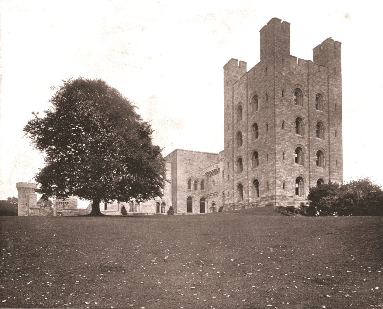 La torre a Penrhyn, Caernarvonshire, Galles, 1894 da Unbekannt