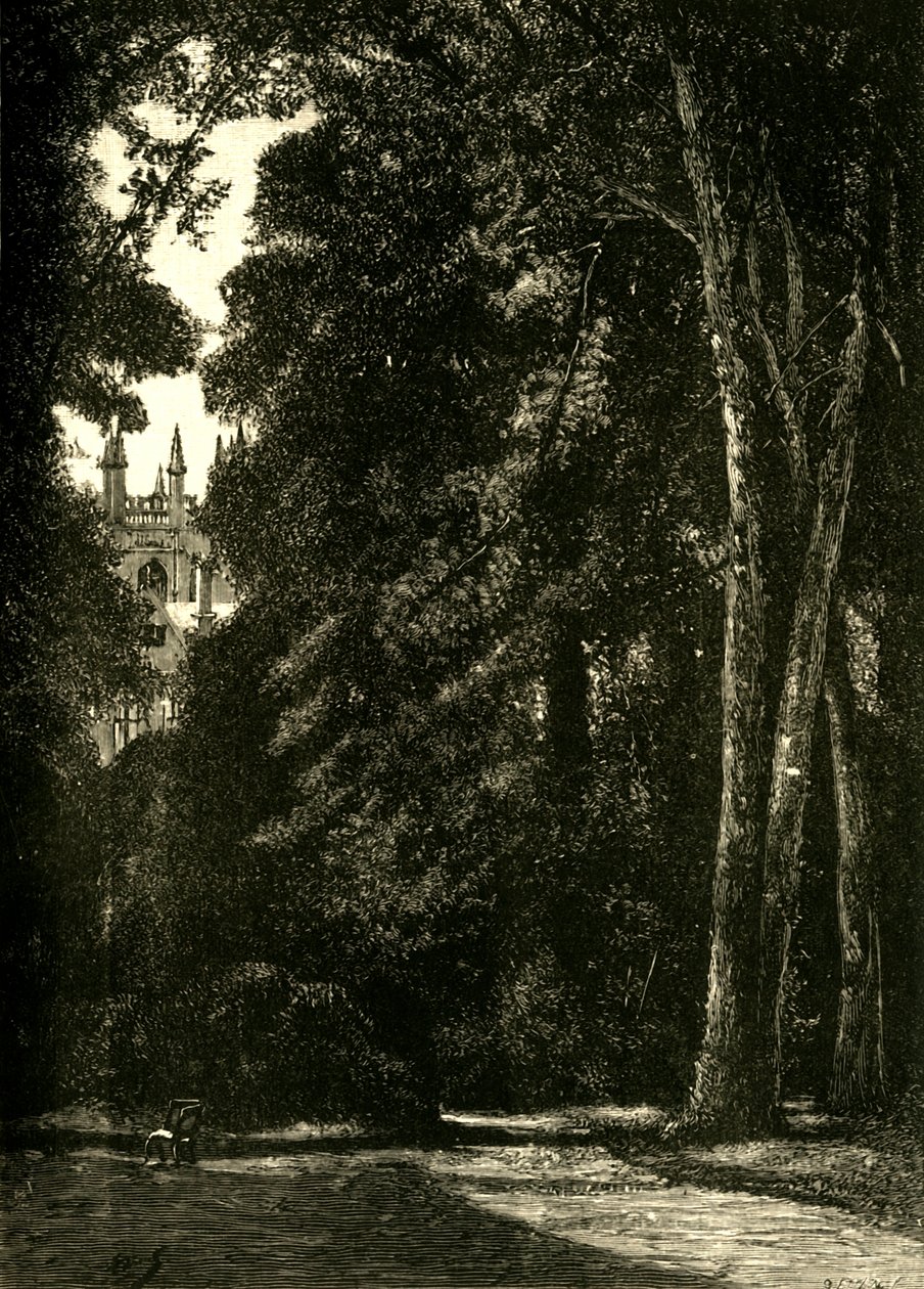 La Torre di Merton, dal Giardino, 1898 da Unbekannt