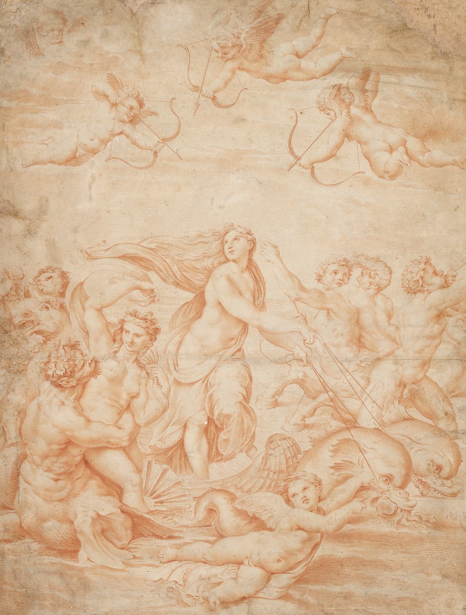 Il trionfo di Galatea, XVI secolo da Unbekannt