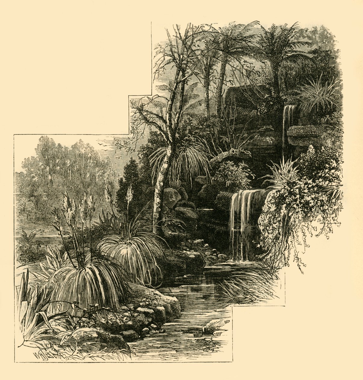 I Giardini Tropicali, Battersea Park, c1878 da Unbekannt