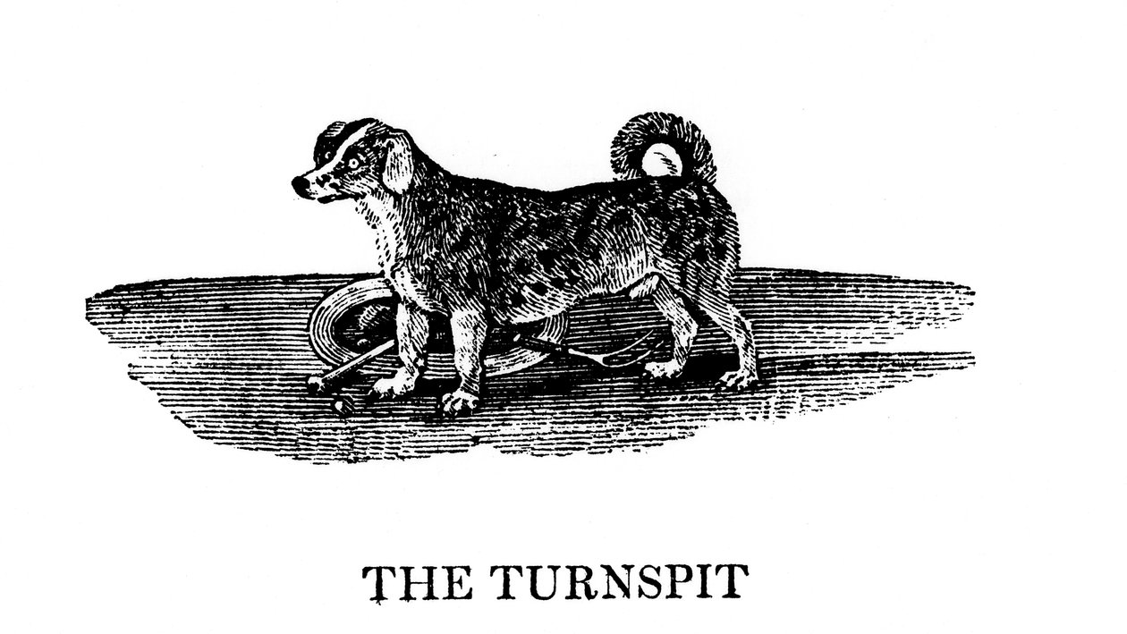 The Tunspit, 1790 da Unbekannt