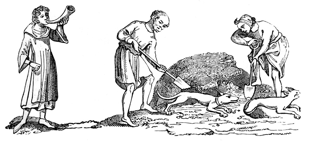 Lo scavo di una volpe, XIV secolo, 1833 da Unbekannt