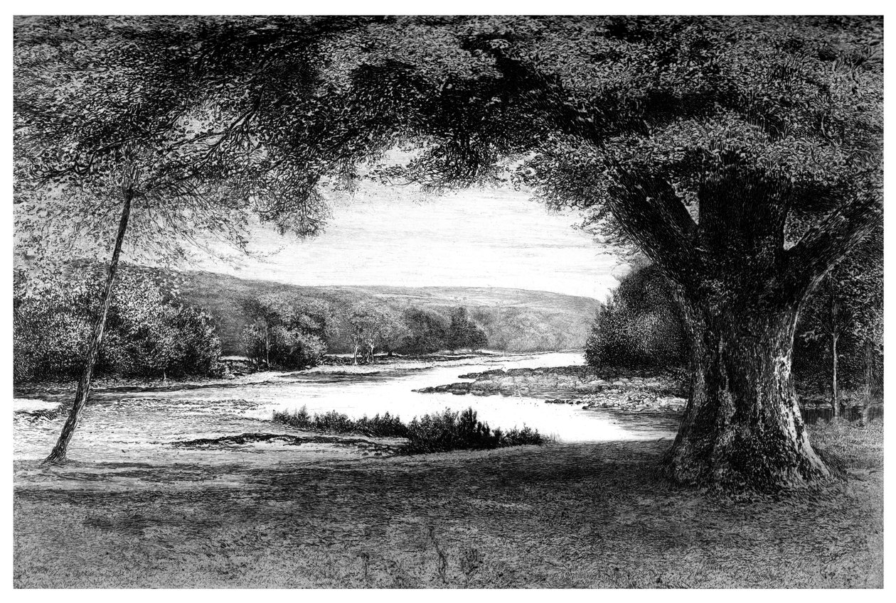 La Valle di Avoca, 1895 da Unbekannt