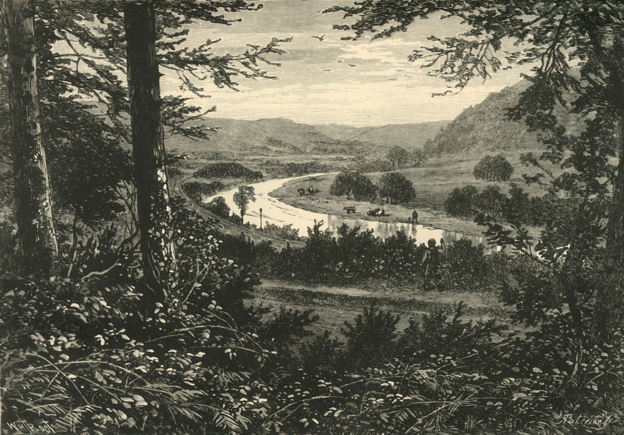 La valle di Avoca, 1898 da Unbekannt