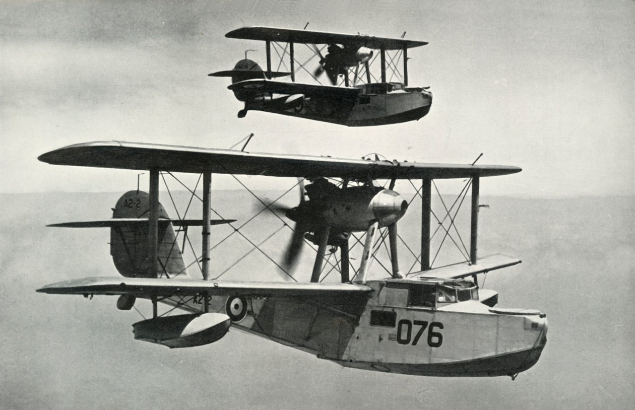 Il Vickers-Armstrongs Walrus, 1941 da Unbekannt