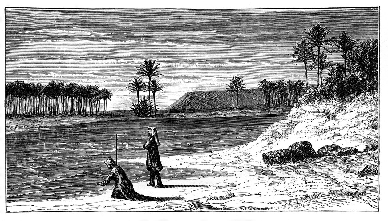 Le rive dell