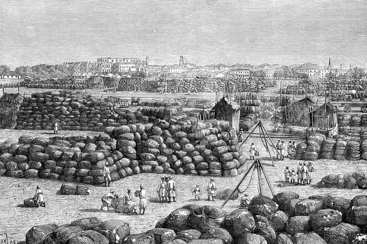 Il mercato del cotone a Bombay, India, 1895 da Unbekannt
