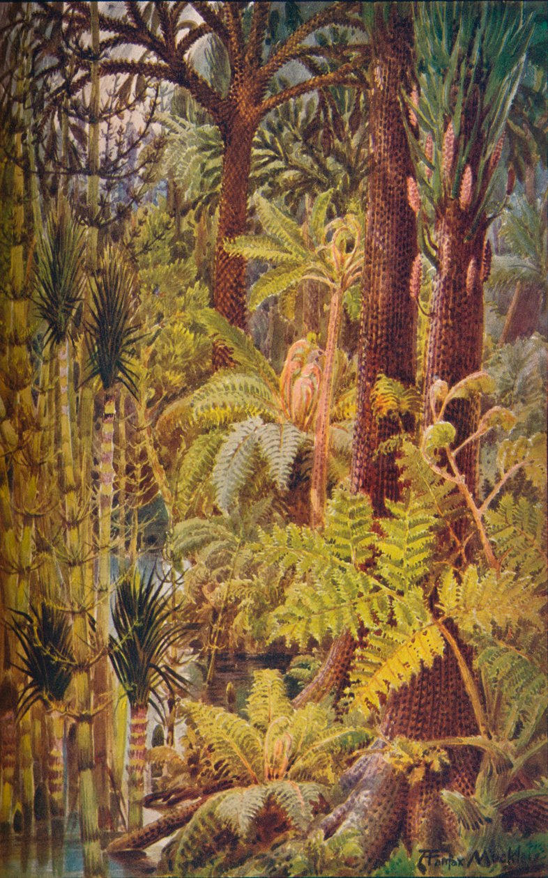 La vegetazione gigantesca dell