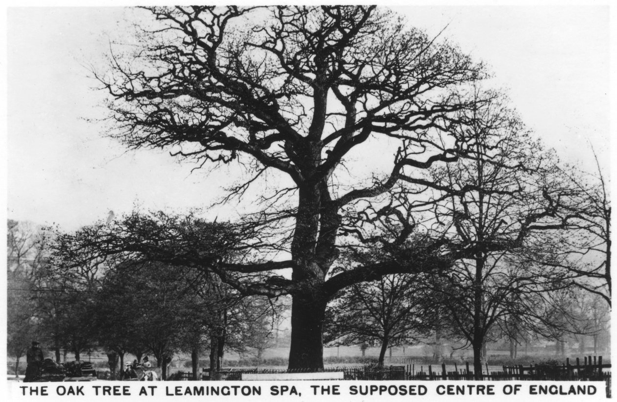 La quercia a Leamington Spa, il presunto centro dell