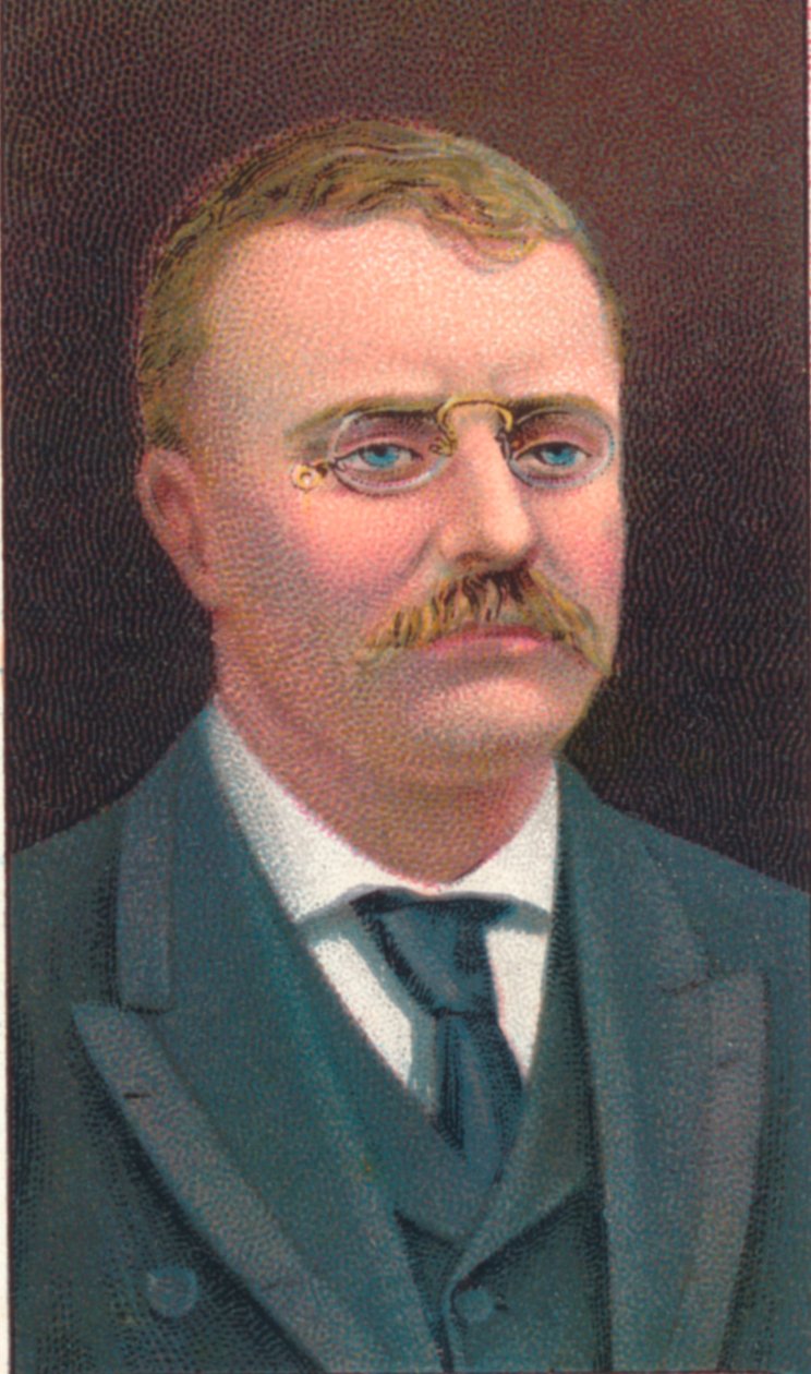 Theodore Roosevelt 1858-1919, 26º Presidente degli Stati Uniti, 1906 da Unbekannt