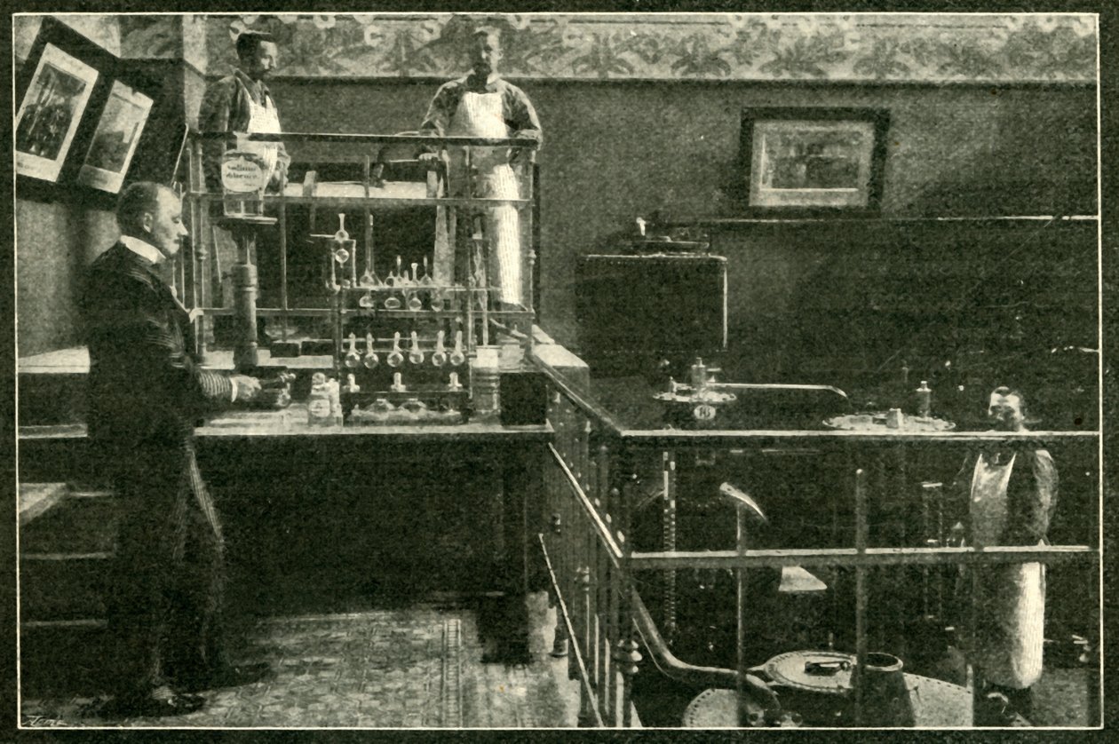 Non ci sono allarmi di veleno nei domini dello Zar, 1901 da Unbekannt
