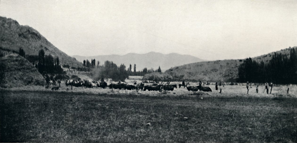 Trebbiatura del mais alla maniera antica, 1911 da Unbekannt