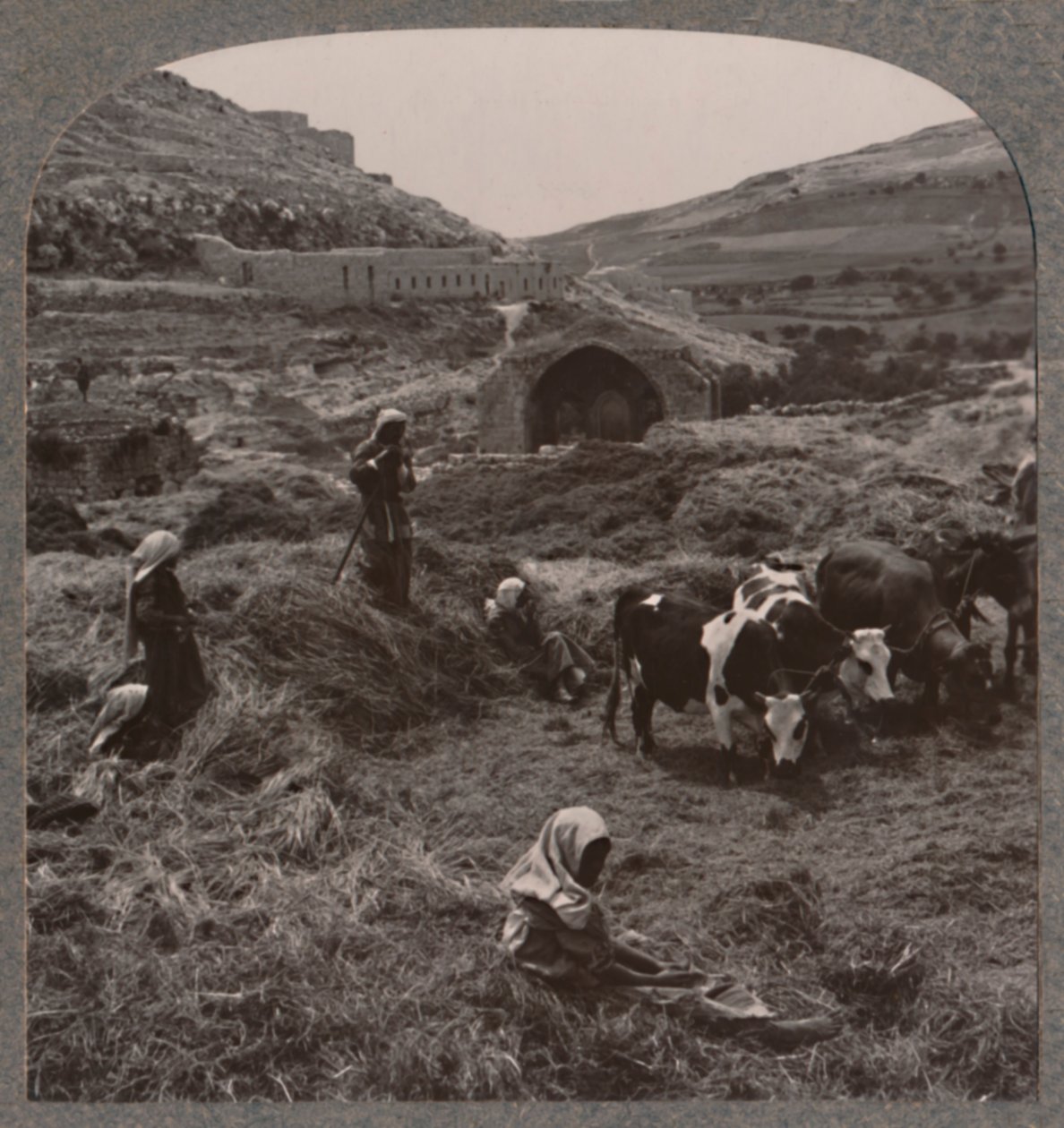 Trebbiatura del grano vicino al pozzo di Giacobbe, c1900 da Unbekannt