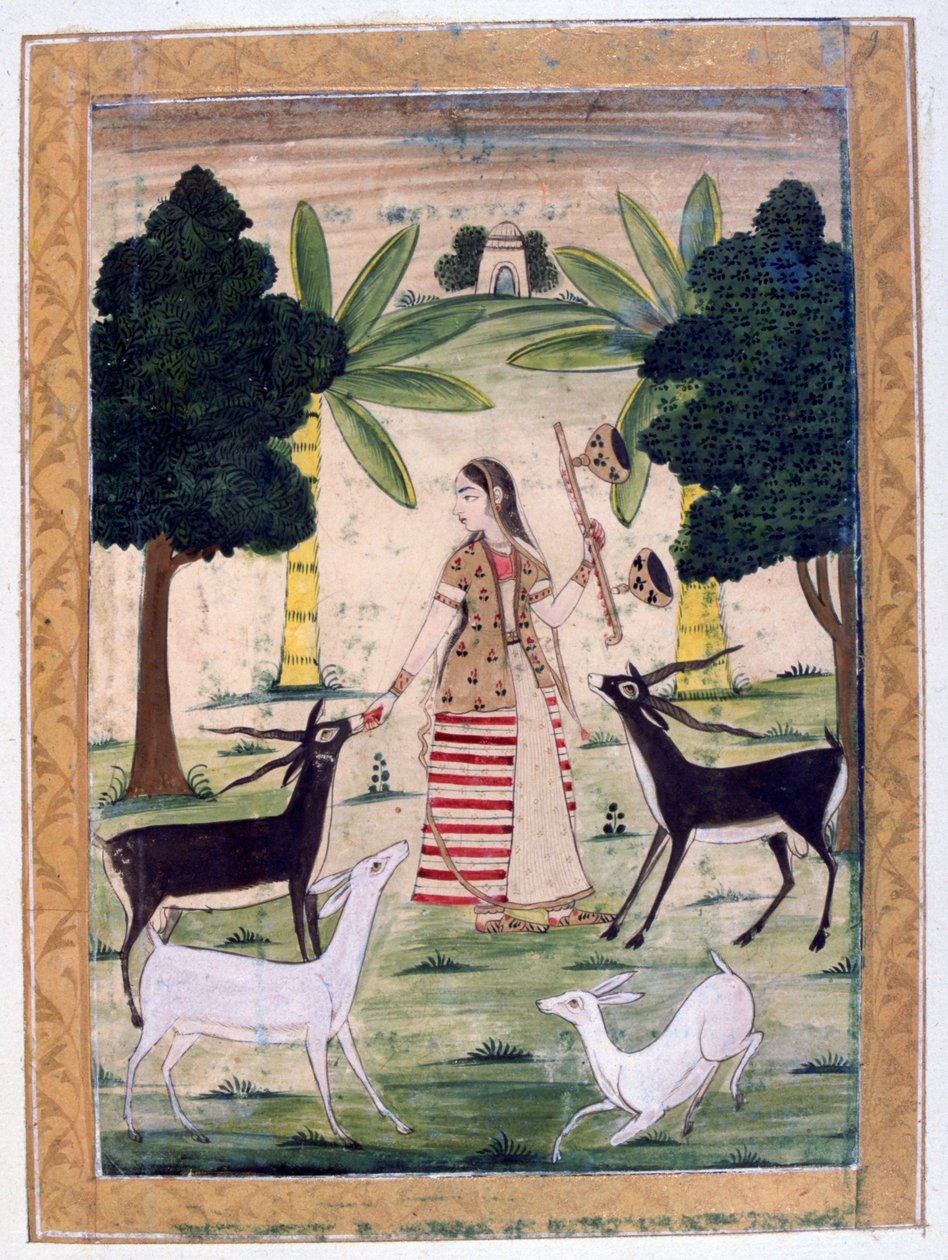 Todi Ragini, Ragamala Album, Scuola del Rajasthan da Unbekannt