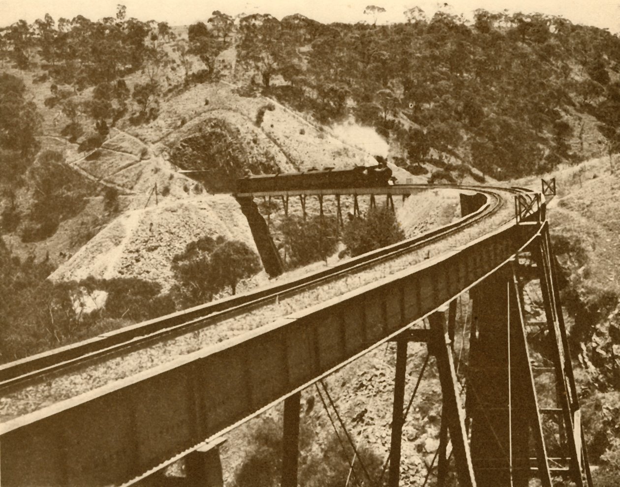Treno che passa sopra il viadotto, Mount Lofty Range, Australia Meridionale, 1930 da Unbekannt