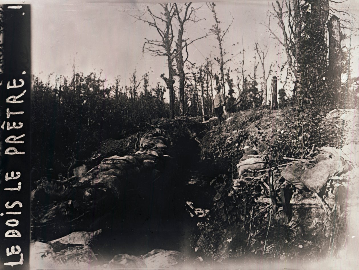 Trincee, Bois-le-Prêtre, Lorena, nord della Francia, c1914-c1918 da Unbekannt