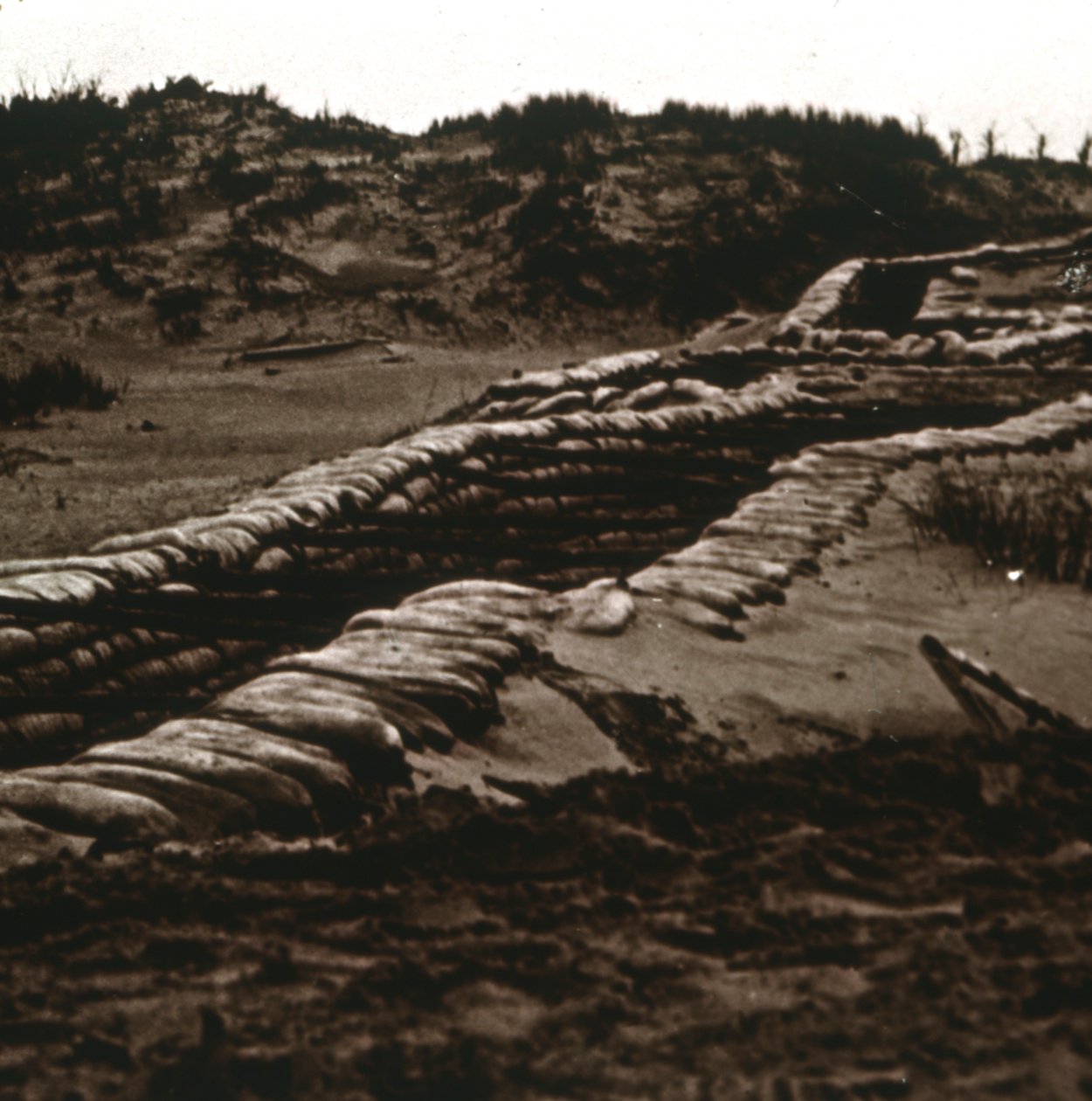 Trincee al riparo delle dune, Nieuwpoort, Fiandre, Belgio, c1914-c1918 da Unbekannt